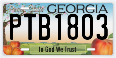 GA license plate PTB1803