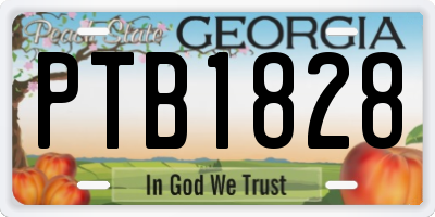GA license plate PTB1828