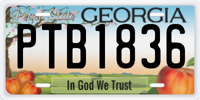 GA license plate PTB1836