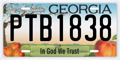 GA license plate PTB1838