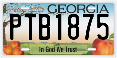 GA license plate PTB1875