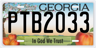 GA license plate PTB2033