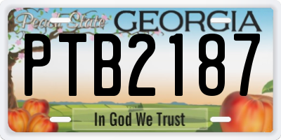 GA license plate PTB2187