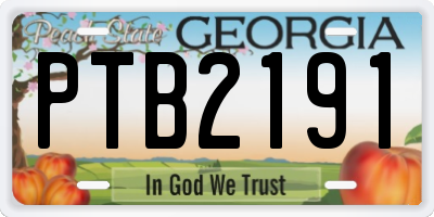 GA license plate PTB2191