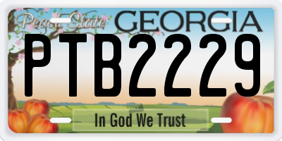 GA license plate PTB2229