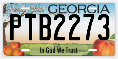 GA license plate PTB2273