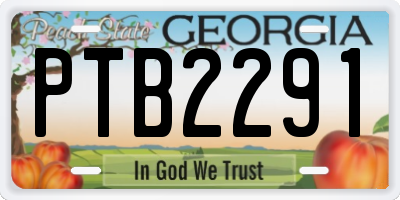 GA license plate PTB2291