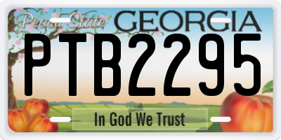 GA license plate PTB2295