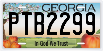 GA license plate PTB2299