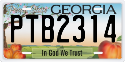 GA license plate PTB2314