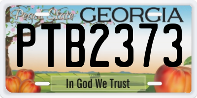 GA license plate PTB2373