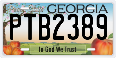 GA license plate PTB2389