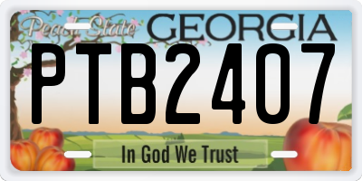 GA license plate PTB2407