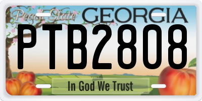 GA license plate PTB2808
