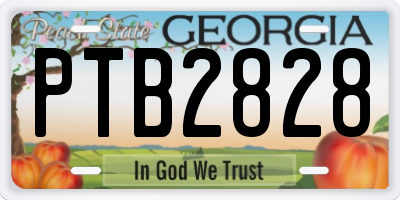 GA license plate PTB2828