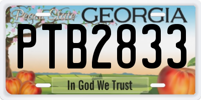 GA license plate PTB2833