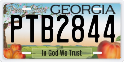 GA license plate PTB2844