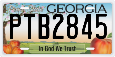 GA license plate PTB2845