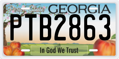 GA license plate PTB2863