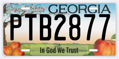 GA license plate PTB2877