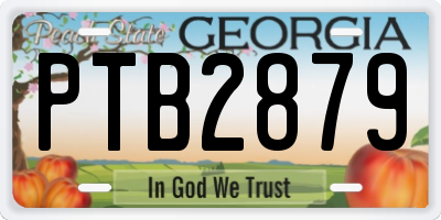 GA license plate PTB2879