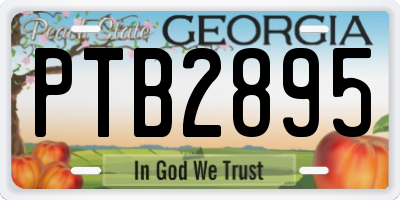 GA license plate PTB2895