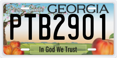 GA license plate PTB2901