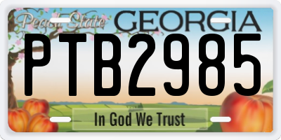 GA license plate PTB2985