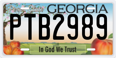 GA license plate PTB2989
