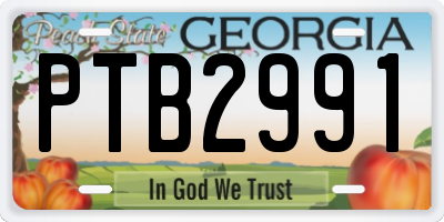 GA license plate PTB2991