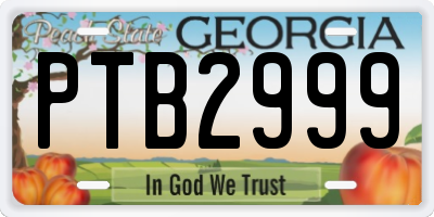 GA license plate PTB2999