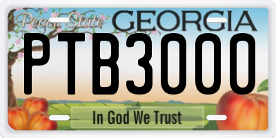 GA license plate PTB3000