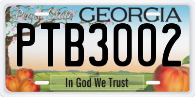 GA license plate PTB3002