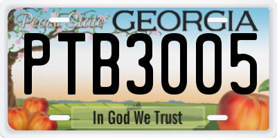 GA license plate PTB3005