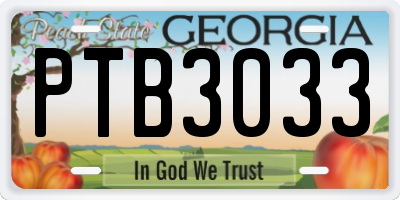 GA license plate PTB3033