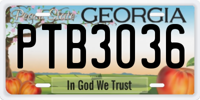 GA license plate PTB3036