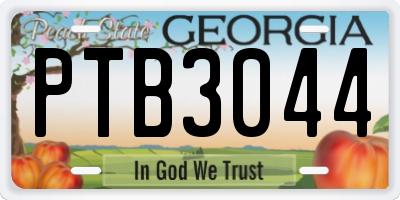 GA license plate PTB3044