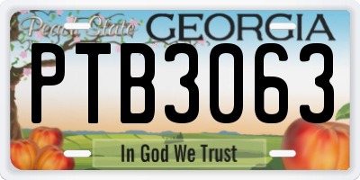 GA license plate PTB3063