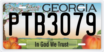 GA license plate PTB3079