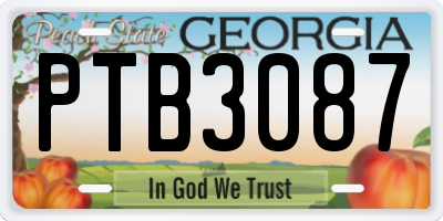 GA license plate PTB3087