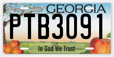GA license plate PTB3091