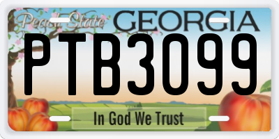 GA license plate PTB3099