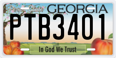 GA license plate PTB3401
