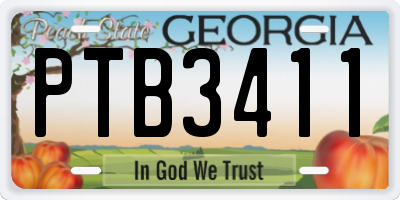GA license plate PTB3411