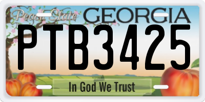 GA license plate PTB3425
