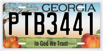 GA license plate PTB3441