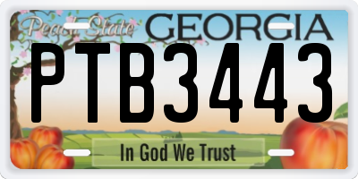 GA license plate PTB3443