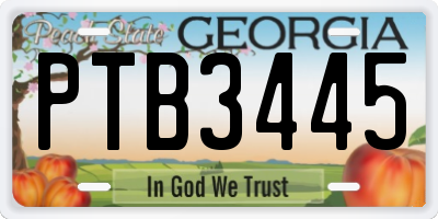 GA license plate PTB3445