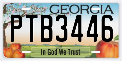 GA license plate PTB3446