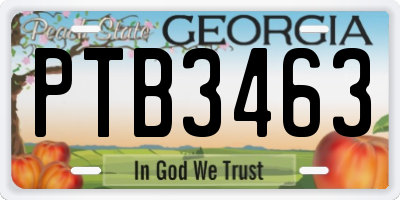 GA license plate PTB3463